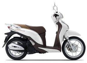 sh mode 2020 trăng nâu