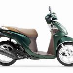 Xe Vision xanh lục