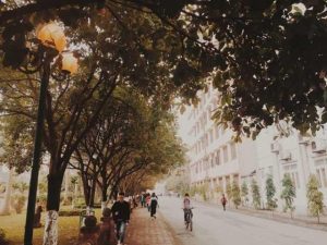 Mối tình đại học tươi đẹp