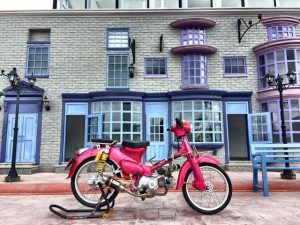 cub 50 độ kiểng